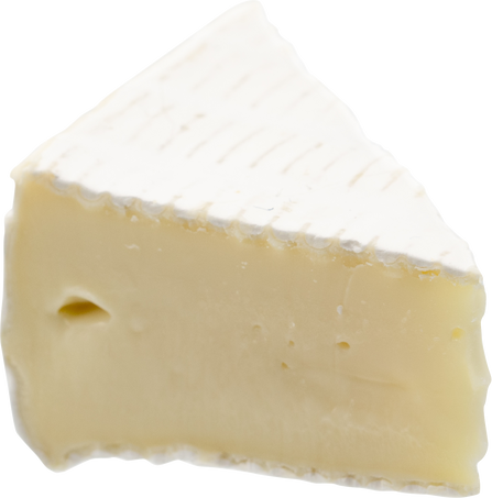 Camembert or brie cheese